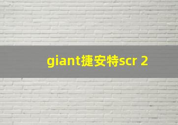 giant捷安特scr 2